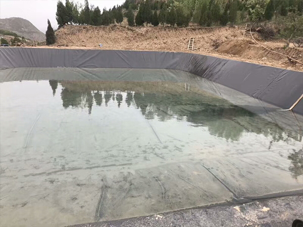 水產(chǎn)土工膜在藕池建設(shè)中充當(dāng)怎樣的角色？
