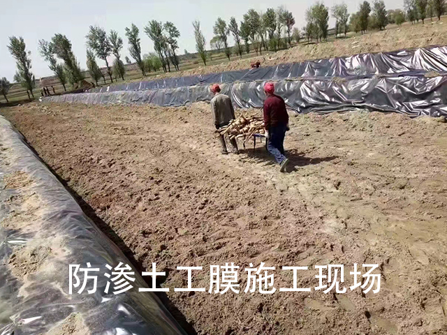 養(yǎng)殖防滲土工膜出廠前嚴(yán)格把控質(zhì)量關(guān) 養(yǎng)殖防滲土工膜出廠前嚴(yán)格把控質(zhì)量關(guān)