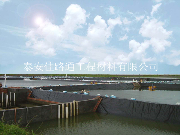 魚蝦養(yǎng)殖防滲膜根據(jù)需求進(jìn)行儲存存放 魚蝦養(yǎng)殖防滲膜根據(jù)需求進(jìn)行儲存存放