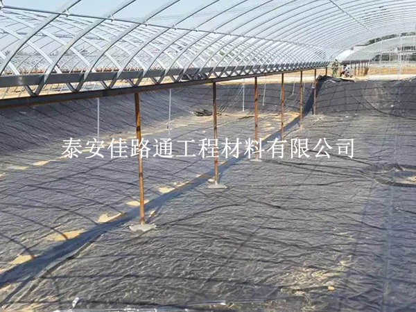 為什么說魚蝦養(yǎng)殖防滲膜可有效保護(hù)魚兒生長？