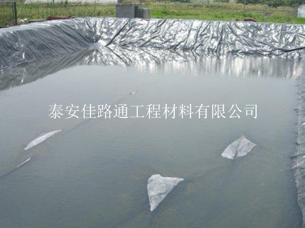 采用魚(yú)蝦養(yǎng)殖防滲膜進(jìn)行水產(chǎn)養(yǎng)殖優(yōu)勢(shì)多多 采用魚(yú)蝦養(yǎng)殖防滲膜進(jìn)行水產(chǎn)養(yǎng)殖優(yōu)勢(shì)多多