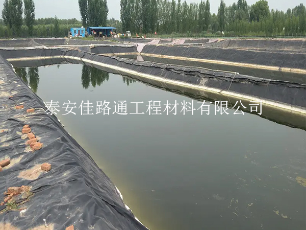 養(yǎng)殖防滲膜：魚蝦養(yǎng)殖的綠色守護(hù)者，創(chuàng)新助力水產(chǎn)繁榮