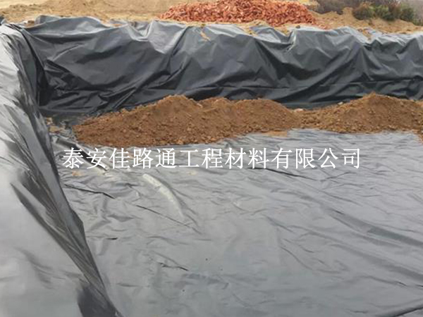 溫度調(diào)控的藝術(shù):鋪設(shè)魚蝦養(yǎng)殖防滲膜中的溫度管理新視角 溫度調(diào)控的藝術(shù):鋪設(shè)魚蝦養(yǎng)殖防滲膜中的溫度管理新視角
