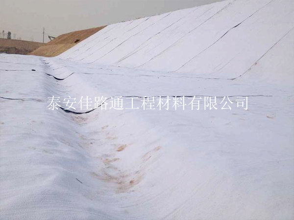標題：輕松駕馭，復合土工布搬運新技巧大揭秘