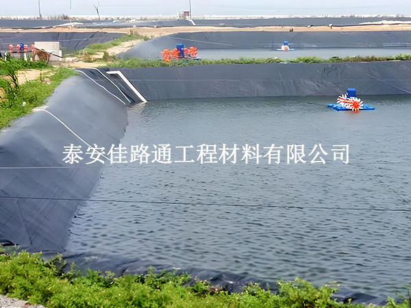 魚(yú)塘防滲膜:對(duì)魚(yú)兒生長(zhǎng)的微妙影響 魚(yú)塘防滲膜:對(duì)魚(yú)兒生長(zhǎng)的微妙影響