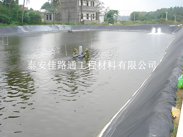 魚塘防滲膜老化快？這些因素在悄悄影響使用壽命